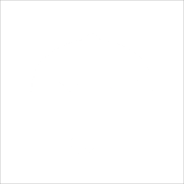 Ikonka parasolka